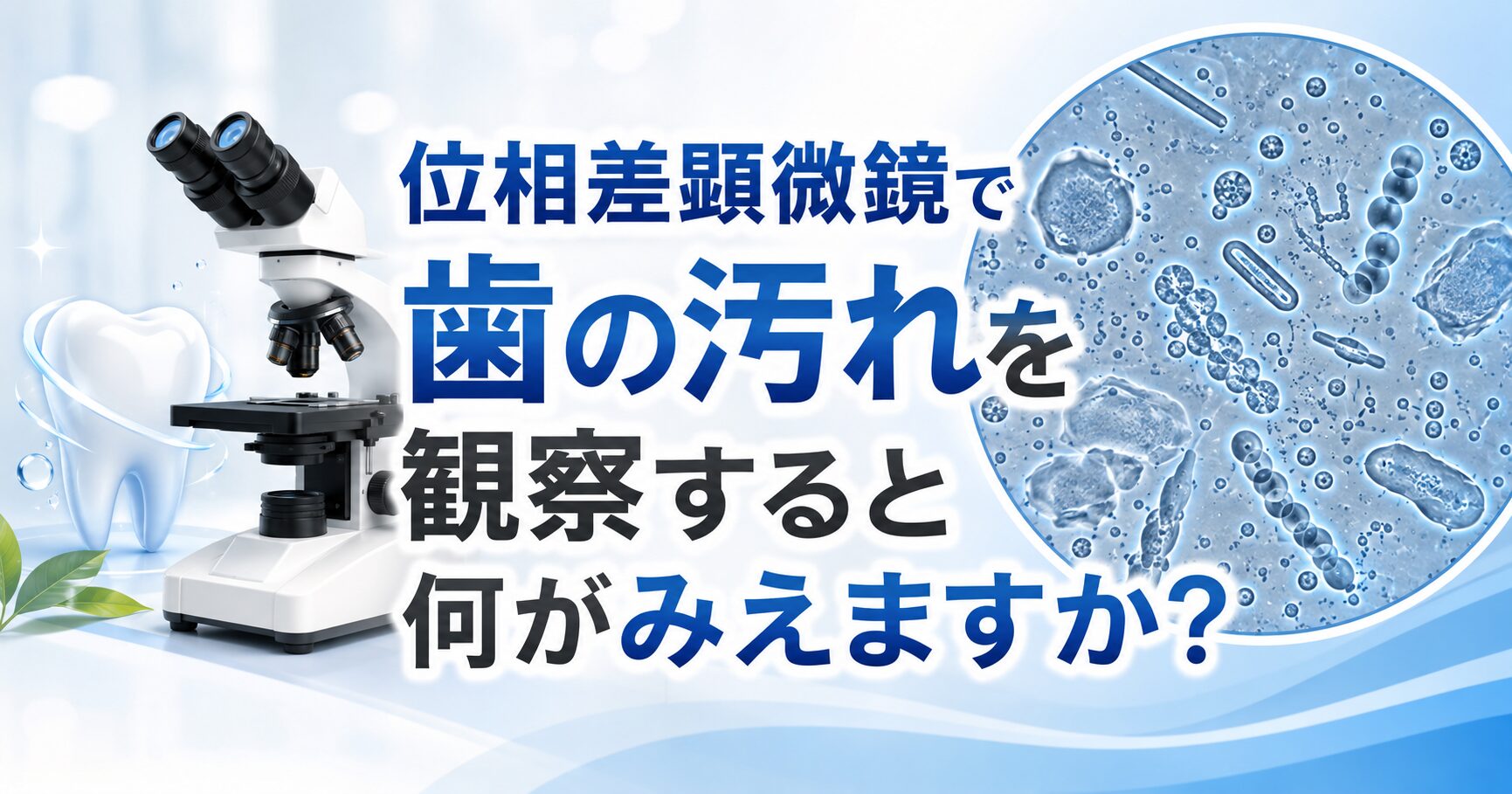 位相差顕微鏡で歯の汚れを観察すると何がみえますか？